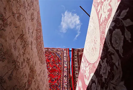 معرفی بهترین مراکز قالیشویی در رضا شهر مشهد